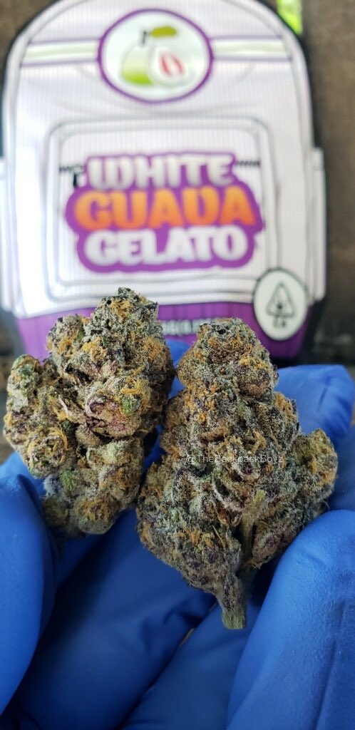 White Guava Gelato #TheBackpackBoyz #WhiteCherryGelato