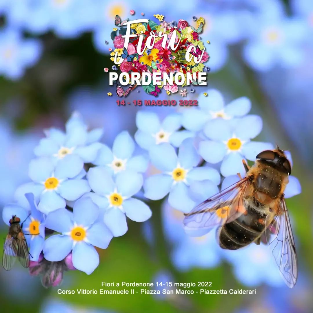 comunepordenone's tweet photo. Fiori a Pordenone 14-15 maggio 2022
4^ edizione primaverile della Mostra Mercato dedicata a #fiori, #piante e rarità botaniche stagionali, in https://t.co/fVfXuwdBzR Vittorio Emanuele, p.zza San Marco, p.zzetta Calderari
Info: https://t.co/K6C2LRxHKl
#primaverApordenone #eventipn https://t.co/3TXM18sn1W