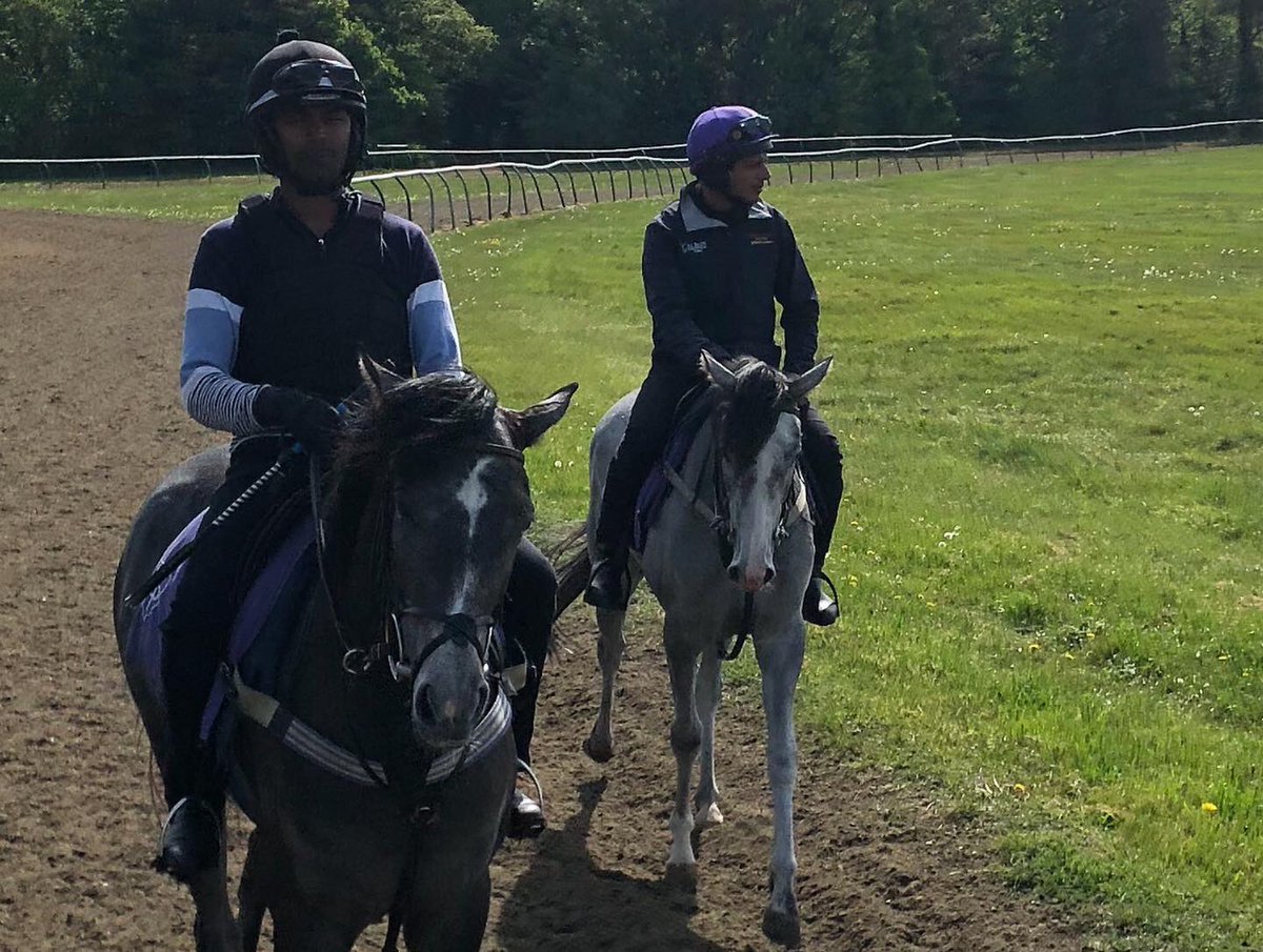 SPearce_Racing's tweet photo. Some of the horses out in the sunshine βοΈ #sunshine #horses #racehorses #training #horsesintraining #newmarket #horseracing #heath #warrenhill #beautiful #blueskiesandsunshine #feedtowin @TheEquineEdge https://t.co/ldWglqINg8