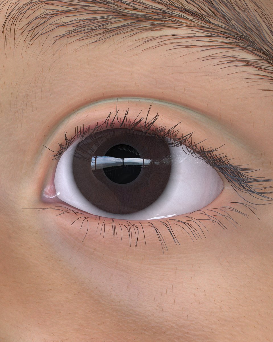 Isaac Olander tweet media