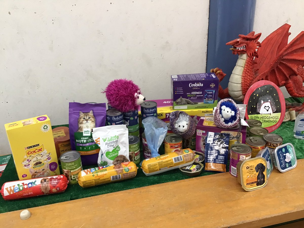 Broad Haven School (@broadhavencp) on Twitter photo We loved our visit from Pembrokeshire Hogspital today. Our pupils have collected donations of food for the hedgehogs 🦔 We loved our visit from Pembrokeshire Hogspital today. Our pupils have collected donations of food for the hedgehogs 🦔