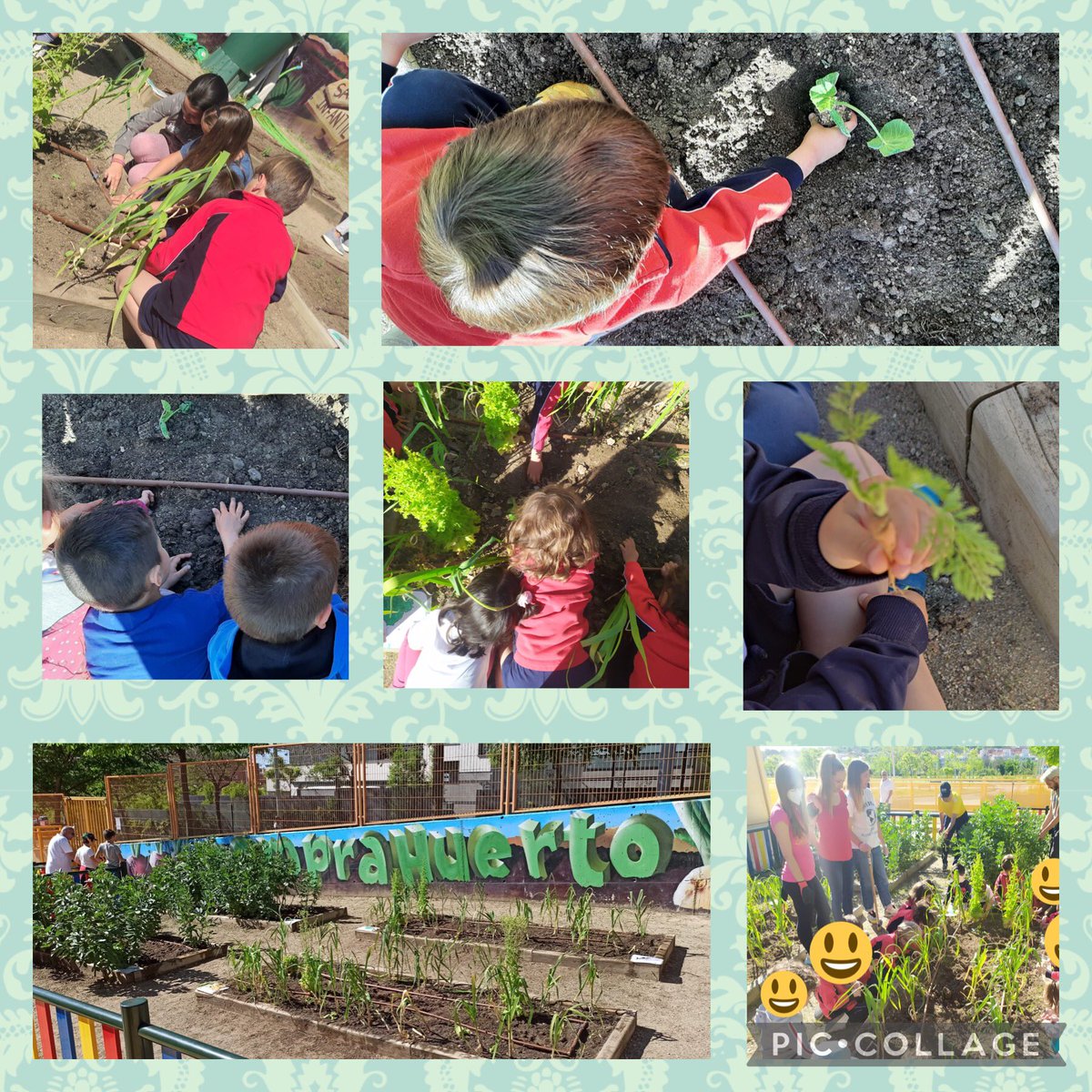 Hoy hemos realizado la plantación de primavera. Gracias a todas las familias que han participado en esta actividad hemos pasado una maravillosa mañana de convivencia familia-escuela. #Nature #TempraHuerto #SomosTempranales