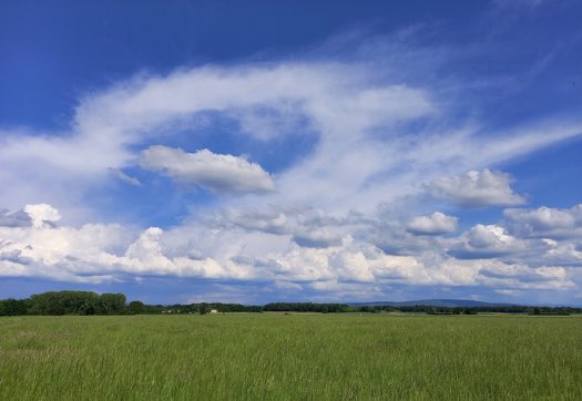 meteofrance's tweet photo. #MeteoDeDemain
🌡Premiers 30°C attendus vers Gironde ou sud de la Charente.
☀️ Soleil bien présent.
🌦L'instabilité diminue sur Alpes, avec tout de même l'après-midi quelques averses.
🌧Quelques gouttes possibles sur Finistère et pointe du Cotentin.
📷Viriat (01) @infoclimat https://t.co/7n5676xCAr