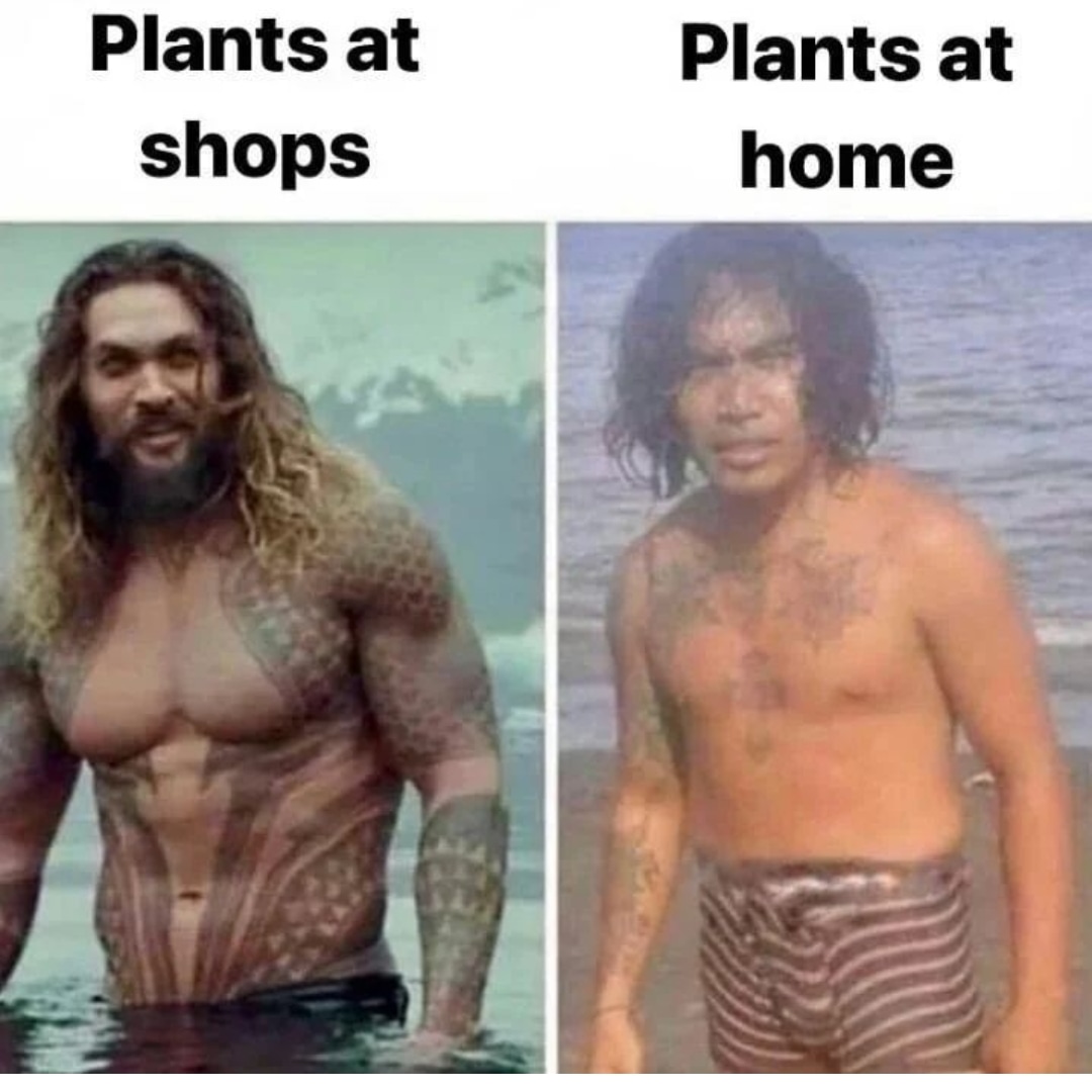 Why tho? 😭🤣😭🤣😭🤣😭🤣

#plants #crazyplantpeople