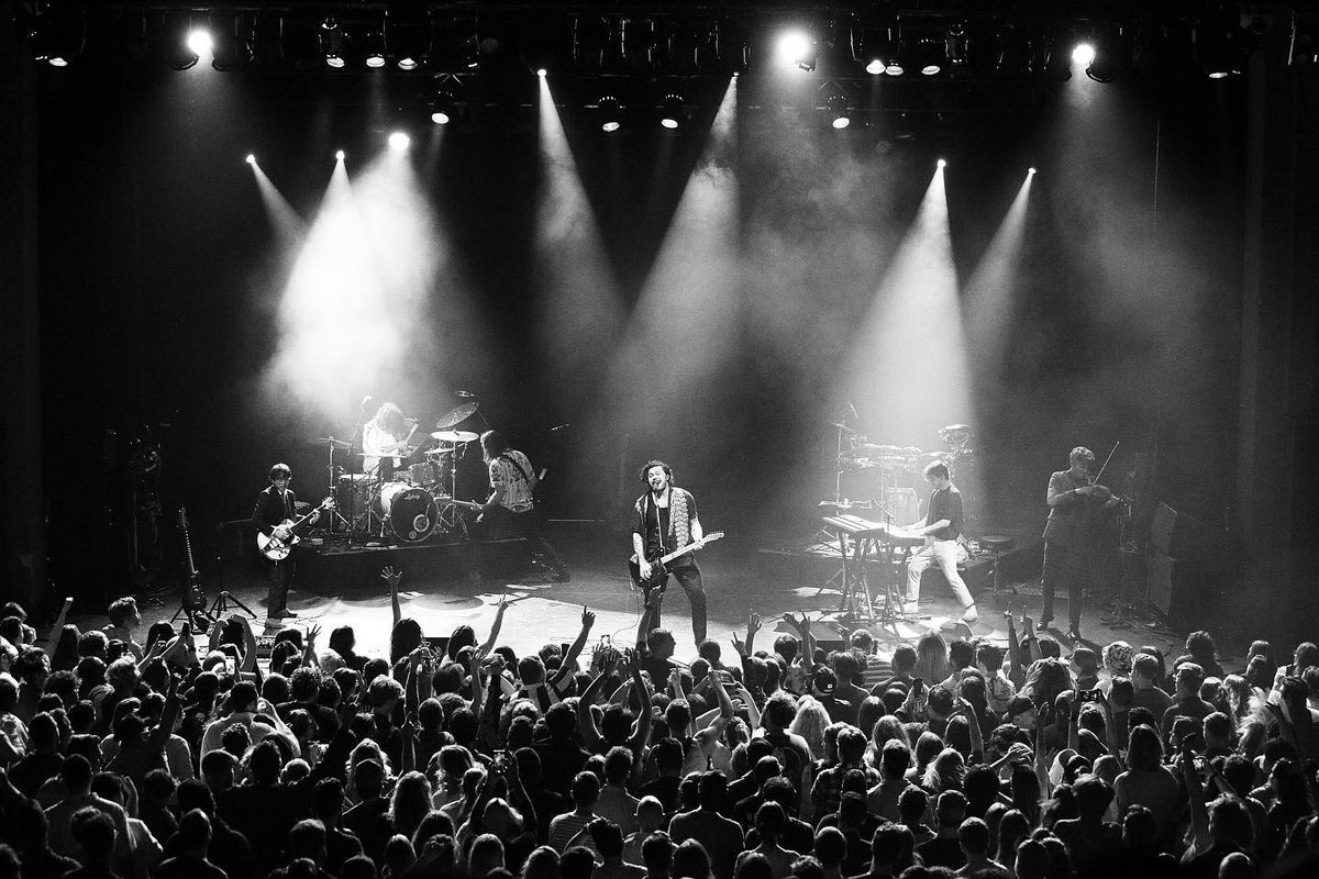 gang of youths tweet media