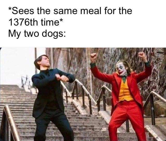 kirbycloud1's tweet photo. *Three #puppies #dogs #goodestpupper #pupper #meme #funny https://t.co/aZKb4f8BwT