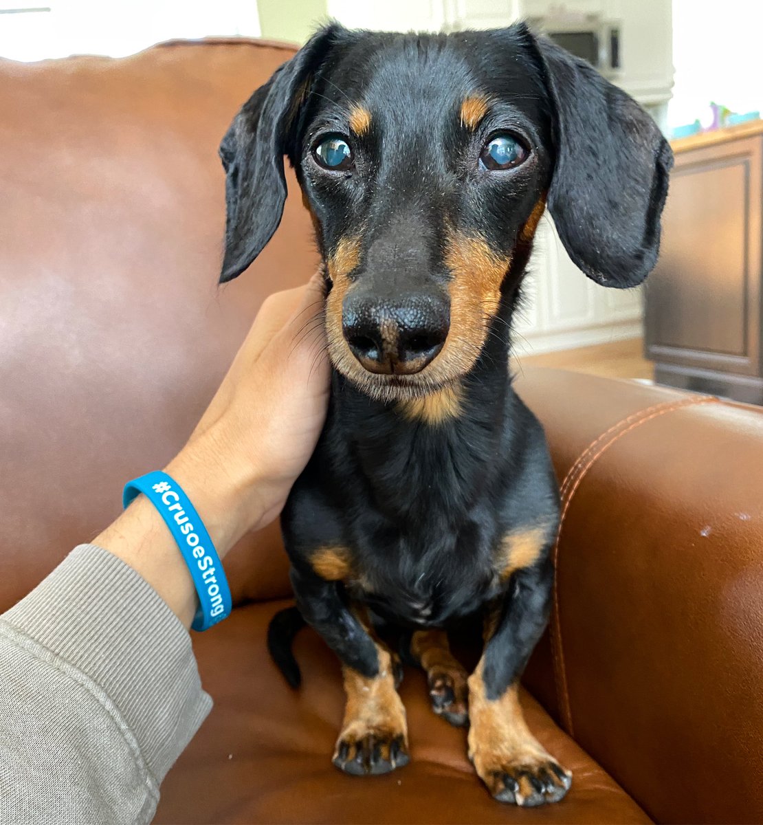 “I want to say thank you to everyone for the encouragement, well-wishes, positivity, and sharing some of your own stories. It’s really helped us focus on being hopeful and positive during what is such a disheartening time.. We are truly thankful of your support and care.” ❤️