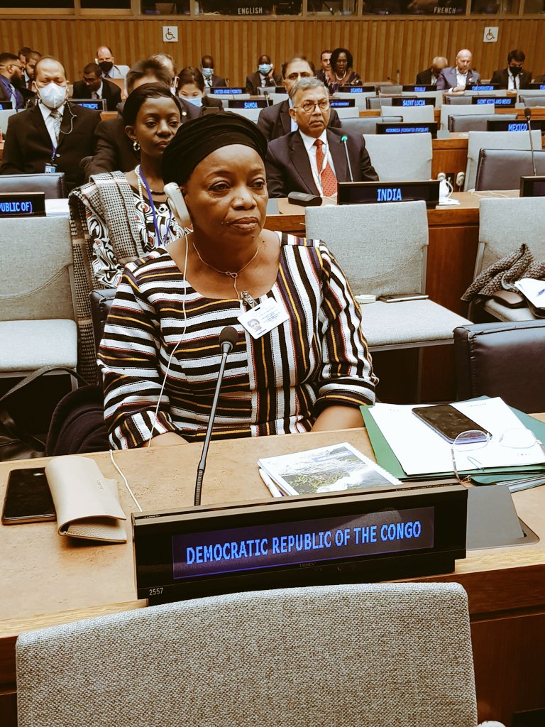 Evebazaiba's tweet photo. À New-York aux États-Unis d'Amérique où je prends part à la 17ème session du Forum des Nations-Unies sur les forêts (FNUF 17). Les discussions portent notamment sur la mise en œuvre du plan stratégique de l'ONU pour les forêts 2017-2030. https://t.co/0dsHkgYf0K