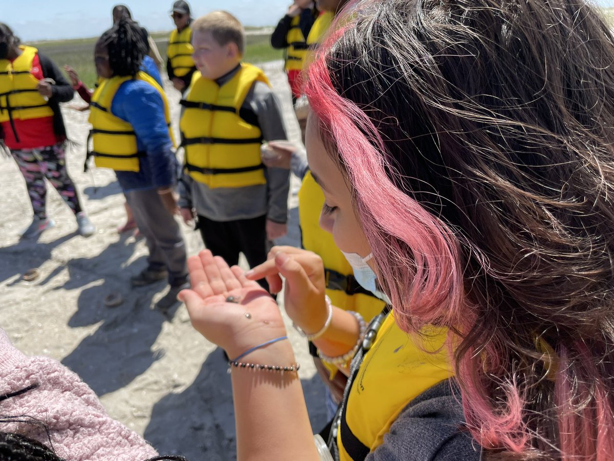 Rachel Freeman School of Engineering tweet media