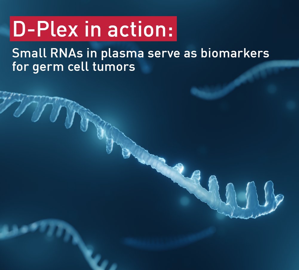 Diagenode's tweet image. Check out the article published in Cancers “Small RNAs in Seminal Plasma as Novel Biomarkers for Germ Cell Tumors”. The study provides great potential for non-invasive early diagnosis of testicular cancer. #Dplex #SmallRNAs
Read more: bit.ly/38e3r3i