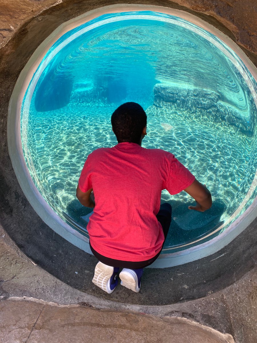 Lots of walking, lots of laughs, lots of fun!! Zoo trip 2022, what a perfect day!! <a href="/KellyGallmeyer/">Kelly Gallmeyer</a> <a href="/KHollywood4/">Kelly Holly</a> @RGOHSPrincipal