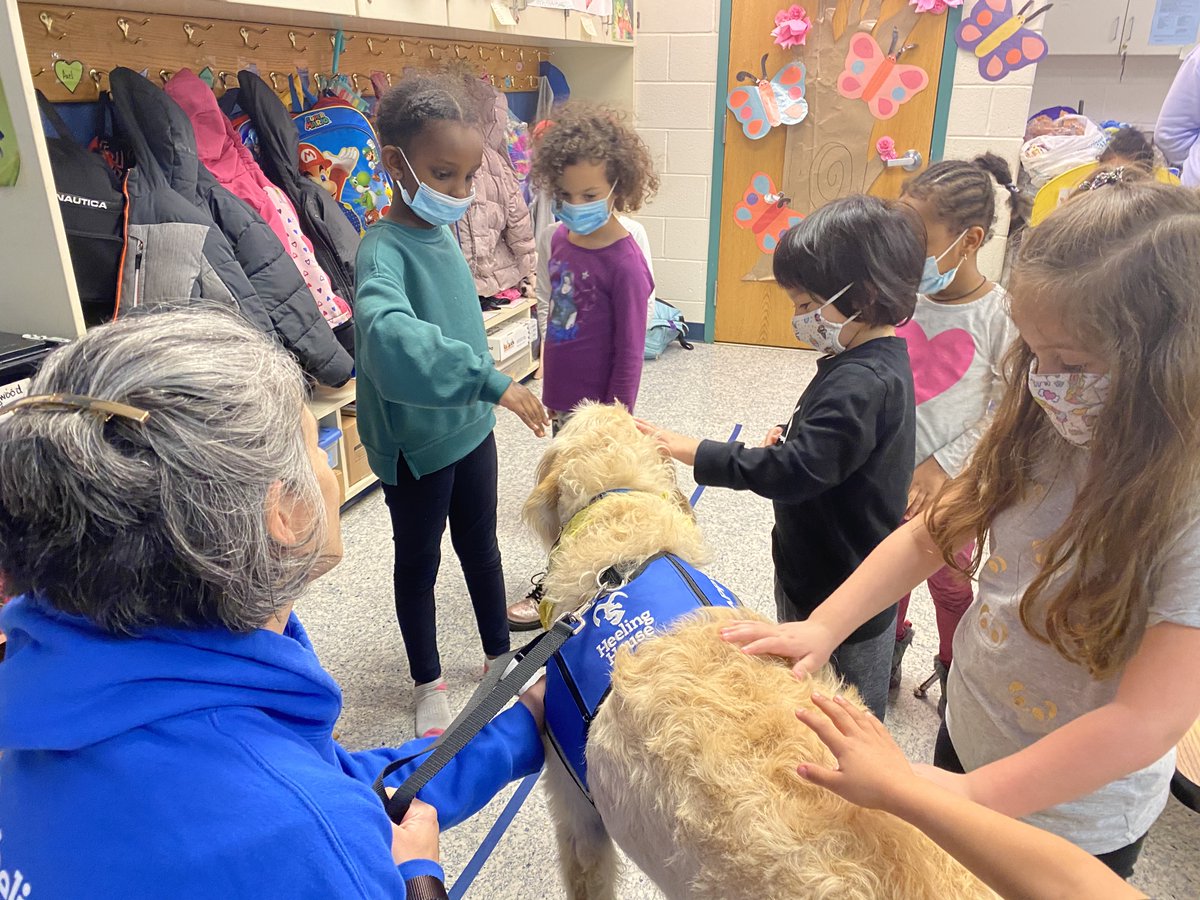 2HappyHelpers's tweet photo. Thank you @HeelingHouse for sharing your therapy dogs with us! Our Dogwood Dragons get to enjoy weekly visits with these polite and peaceful pups to feel calm, share their joy, and be impressed by some neat tricks. We can't wait for next time! https://t.co/qxqGMkQYUW