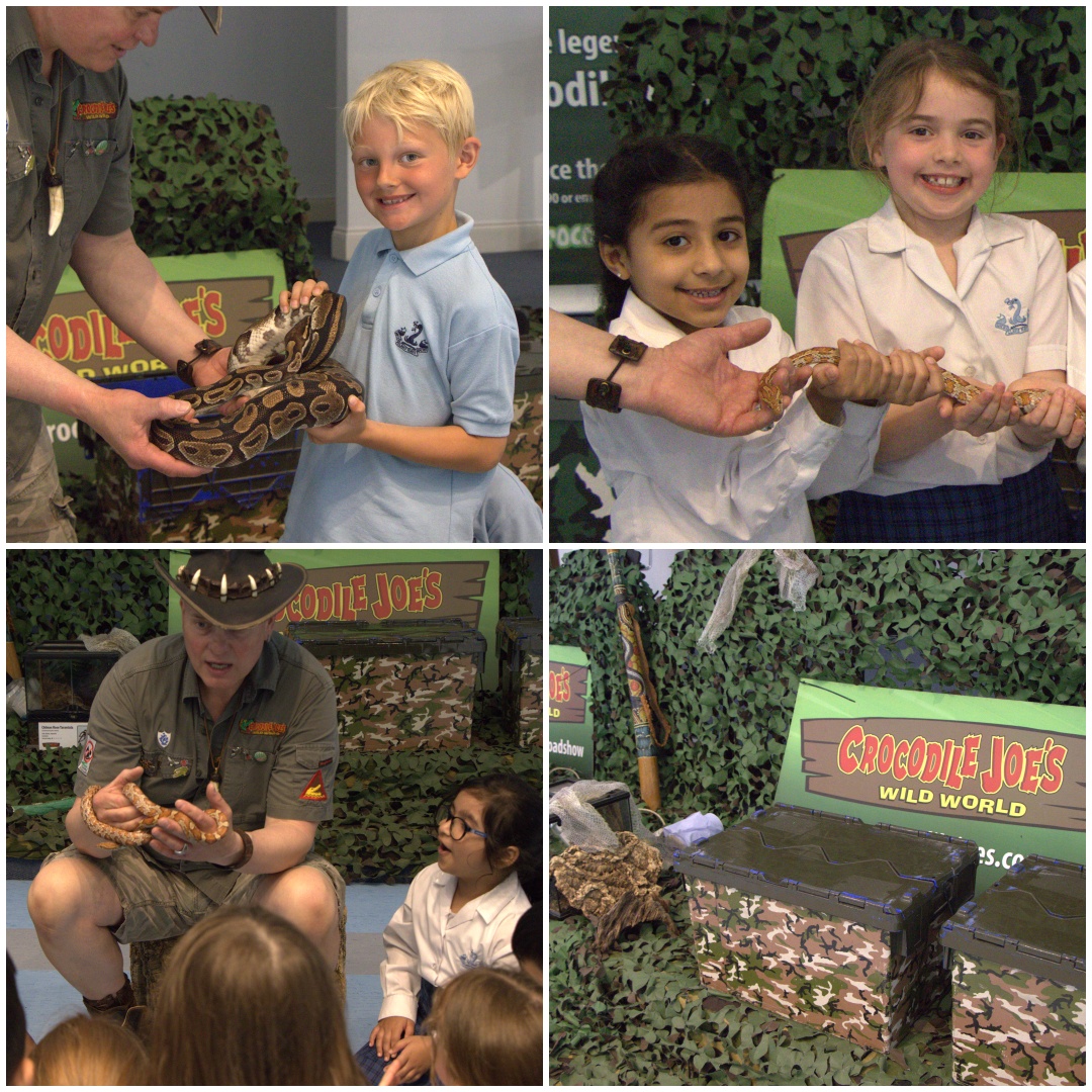 BuryGrammar's tweet photo. As part of our Science curriculum, Years 1, 2 and 3 enjoyed a visit from the amazing @CrocodileJoe and his collection of animals, here at #BuryGrammarSchool. Crocodile Joe shared his experience of environmental issues, and the children were able to meet and handle some animals. https://t.co/SwJwOeVv6c