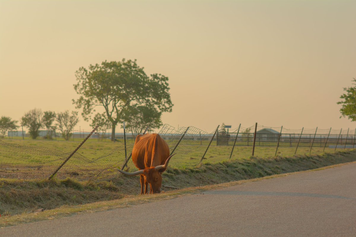 shrkbt's tweet photo. heart of texas https://t.co/Hc6vSOzhd8