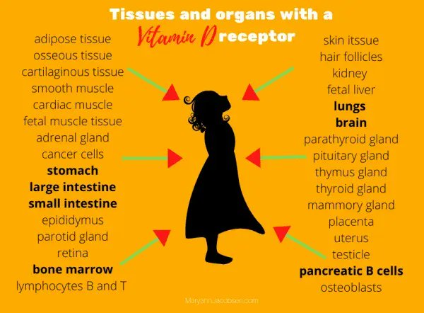 One of the most important nutrients for people of all ages is vitamin D.  Find out more about the history, what vitamin D does in the body, and how much  your family needs here buff.ly/334eIMd #vitaminD #micronutrients #vitamins