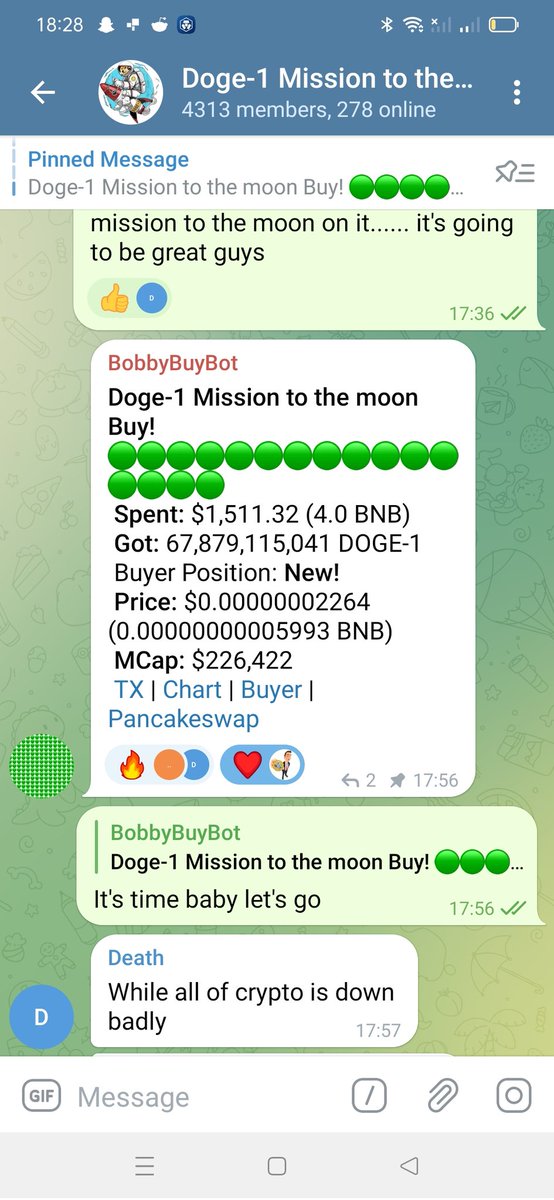 Doge-1 Mission to the moon tweet media