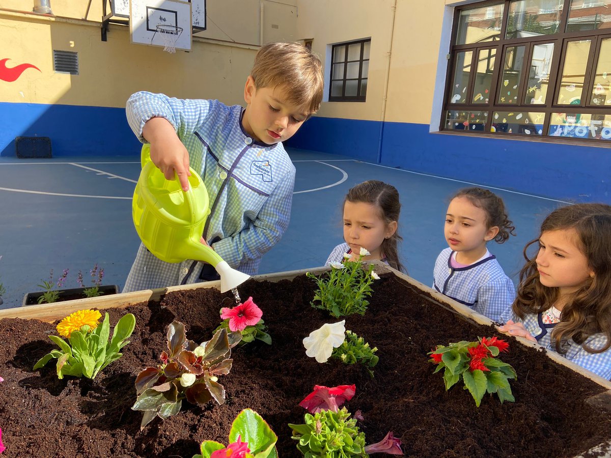 escfonlladosa's tweet photo. Omplim dels colors de la primavera el pati de l’escola, plantant flors al nostre hort. Ara, tenim la responsabilitat de cuidar-les i regar-les cada dia. Sumem il·lusions!
#escolesfonlladosa #latevahistorialanostraescola #infantil_fonlladosa https://t.co/REWZwmaZOy