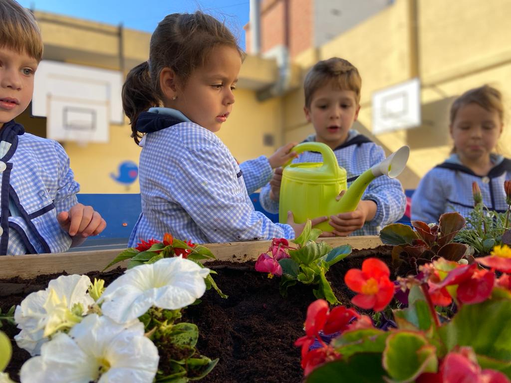 escfonlladosa's tweet photo. Omplim dels colors de la primavera el pati de l’escola, plantant flors al nostre hort. Ara, tenim la responsabilitat de cuidar-les i regar-les cada dia. Sumem il·lusions!
#escolesfonlladosa #latevahistorialanostraescola #infantil_fonlladosa https://t.co/REWZwmaZOy