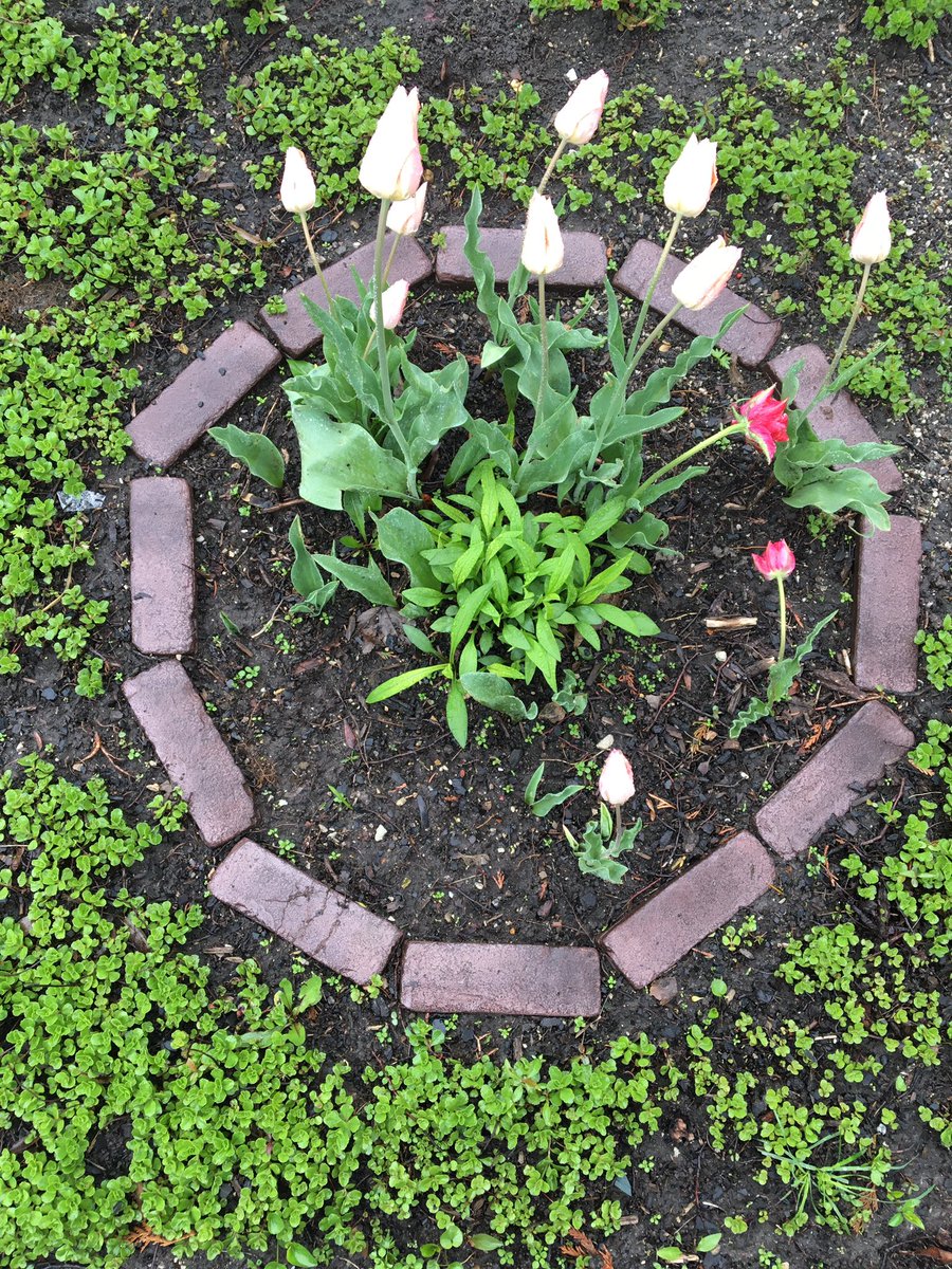 ratdogfreak's tweet photo. “The Chaps Garden” St. Charles, IL #EmmaLee #ForeverForEmma @TownHouseBooks https://t.co/cEoE8KFraU