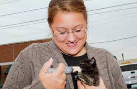 Meet one of our newest #board members, Melissa Miller, director of St. Clair County #Animal Control. Melissa's experience brings a wealth of knowledge to the #MPA board. To learn more about the MPA #BOD, visit bit.ly/3LsvDhi #BoardOfDirectors #LeadershipMatters #Shelters
