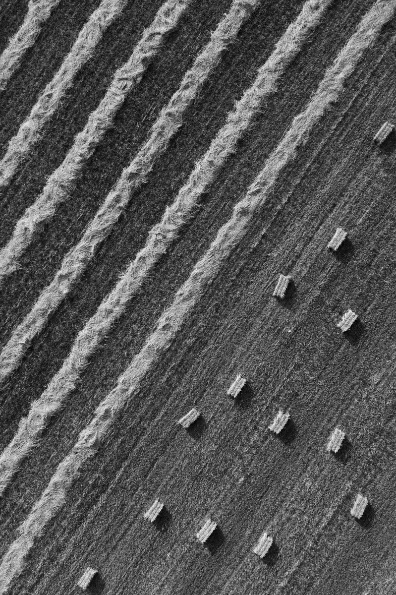 Jonny Melon tweet media