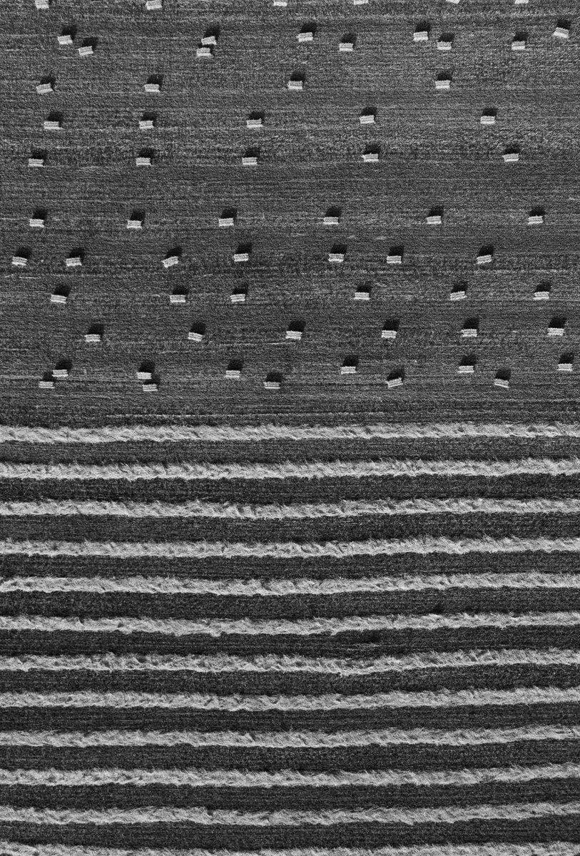 Jonny Melon tweet media