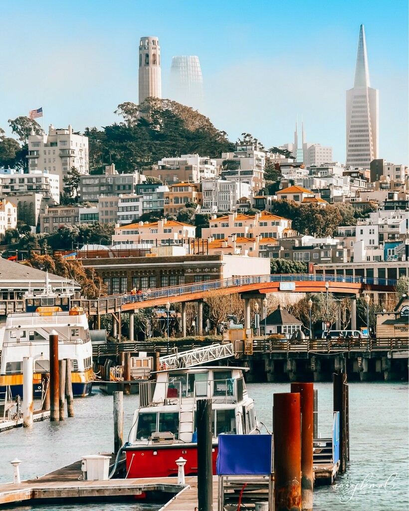 surajkmali's tweet photo. Series Pictures of Port of Pier 39, San Francisco, CA

#pier #sanfrancisco #california #travelphotography  #fishermanswharf #goldengatebridge #alcatraz #travel #bayarea #sanfran #travelphotography #sanfranciscobay #photography #lombardstreet #sanfrancisc… https://t.co/VepdXG5VYB https://t.co/rO818yytPK