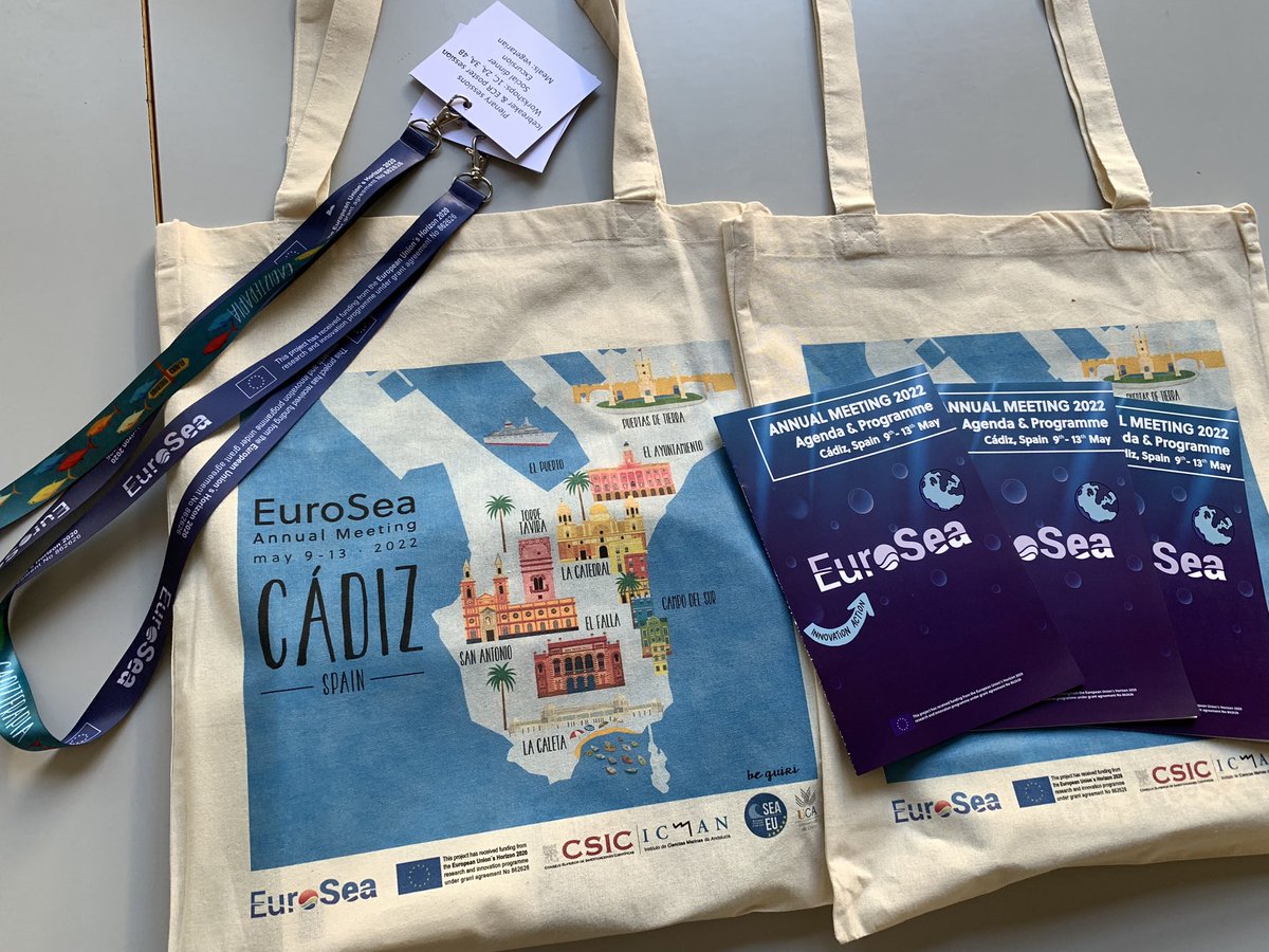 Euro_Sea's tweet photo. We are thrilled to have our 55 member-strong consortium together at the #EuroSea Annual Meeting in Cadiz this week, hosted by @CSIC @ICMAN_CSIC @SeaEuAlliance and @univcadiz! The poster session with early career researchers is a great start of this exciting #ocean week! 🌐🧑‍🔬🌊 https://t.co/pRmAqPyWg7