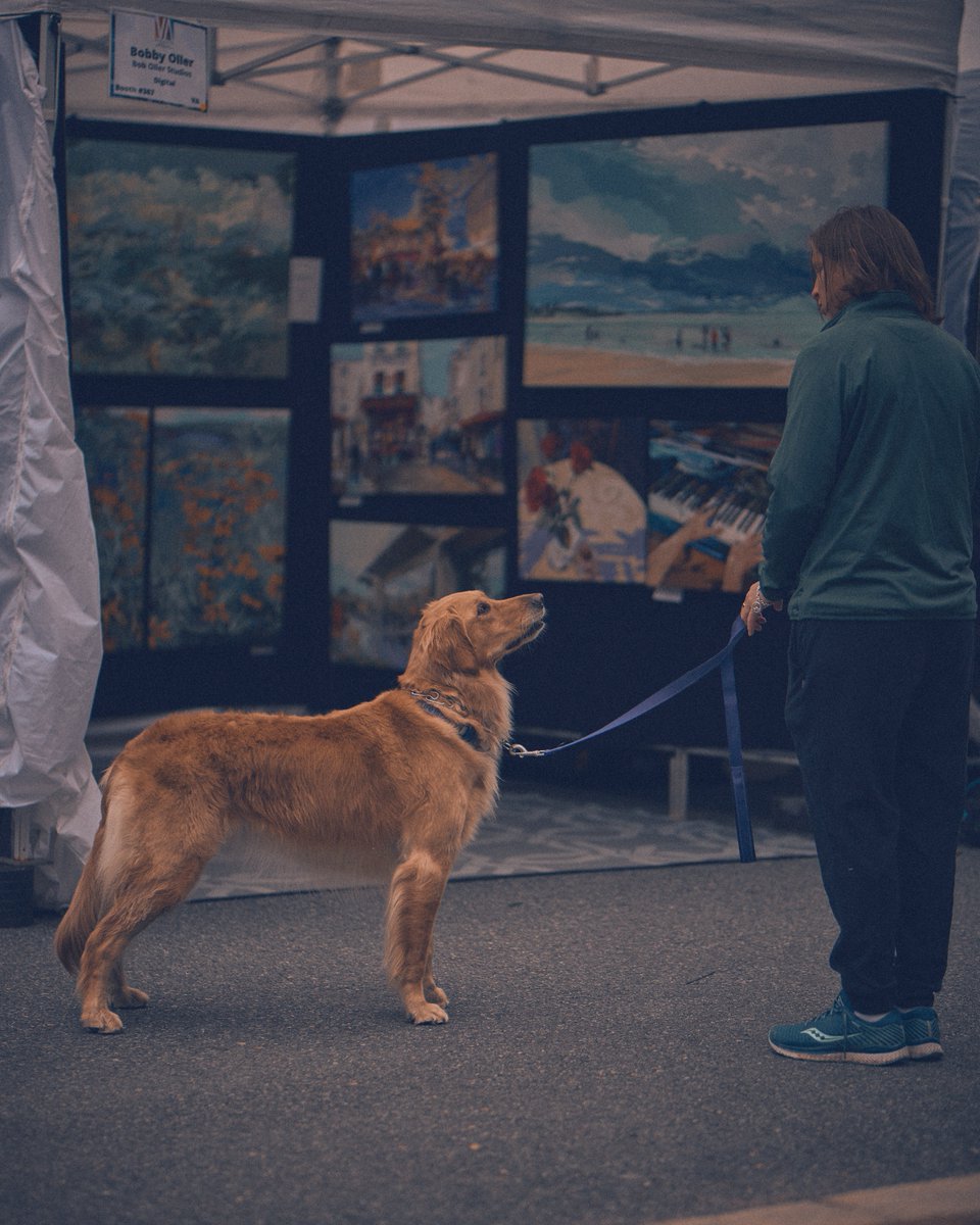 MannyAmalgam's tweet photo. My two loves, #streetphotography and #dogs https://t.co/Js1VB1DuhG