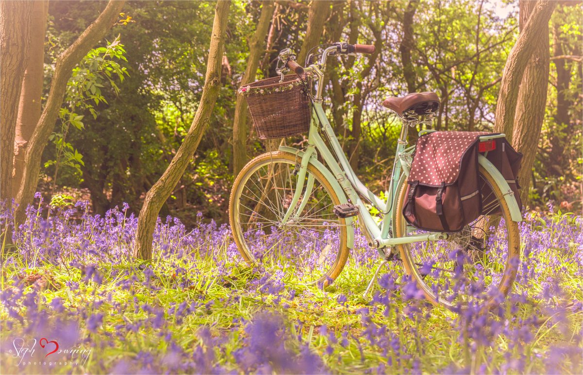 steph_downing's tweet photo. Yesterdays bike ride to find bluebells #Bluebells #summertime #Pendleton #fairytails https://t.co/AlSETtldRA