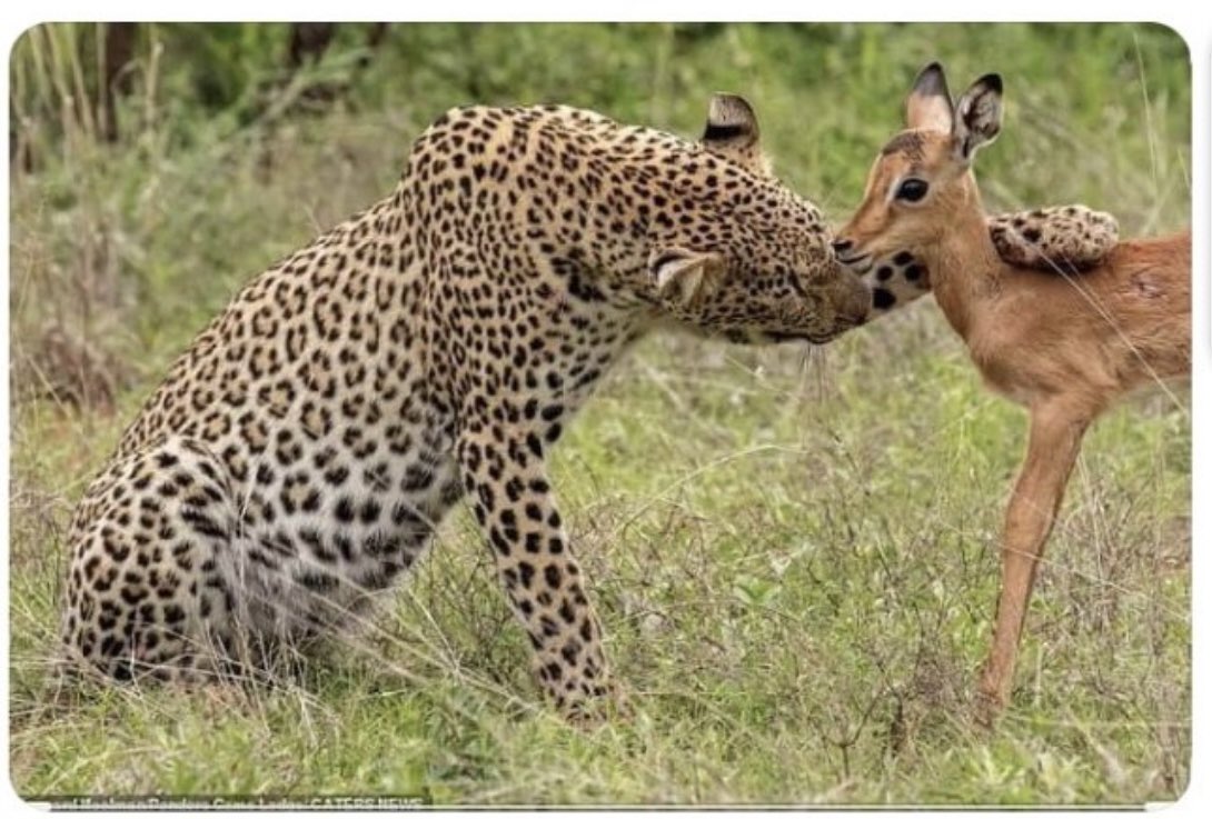 My G calm down we dey together