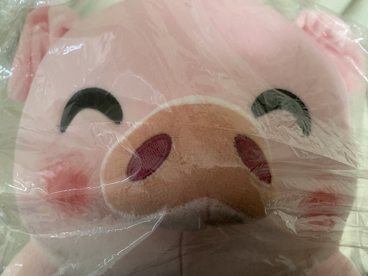 ValGomi's tweet photo. GUESS WHAT I JUST GOT IN THE MAIL!!!
Its finally here aahahahahaha (i think im gonna keep em in the plastic for a lil bit)
#technoblade #technoplush #youtooz https://t.co/3VMQ1LxYli