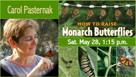 Please join us on May 28th at 1:15pm for a special talk by Carol Pasternak on raising Monarch butterflies.