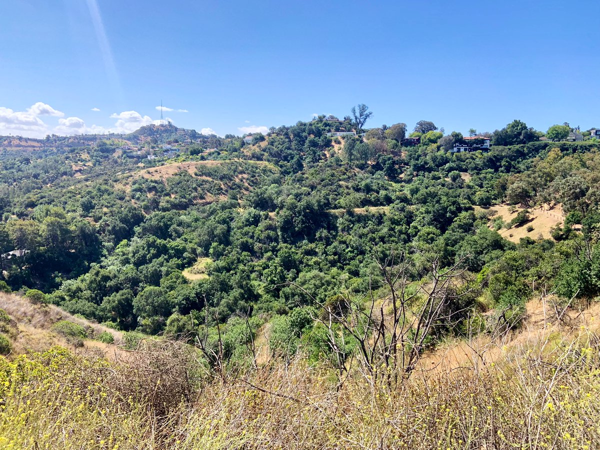 xMelissaPx's tweet photo. ❤️ #hiking #nature #peaceful https://t.co/C3nNxmaFGl