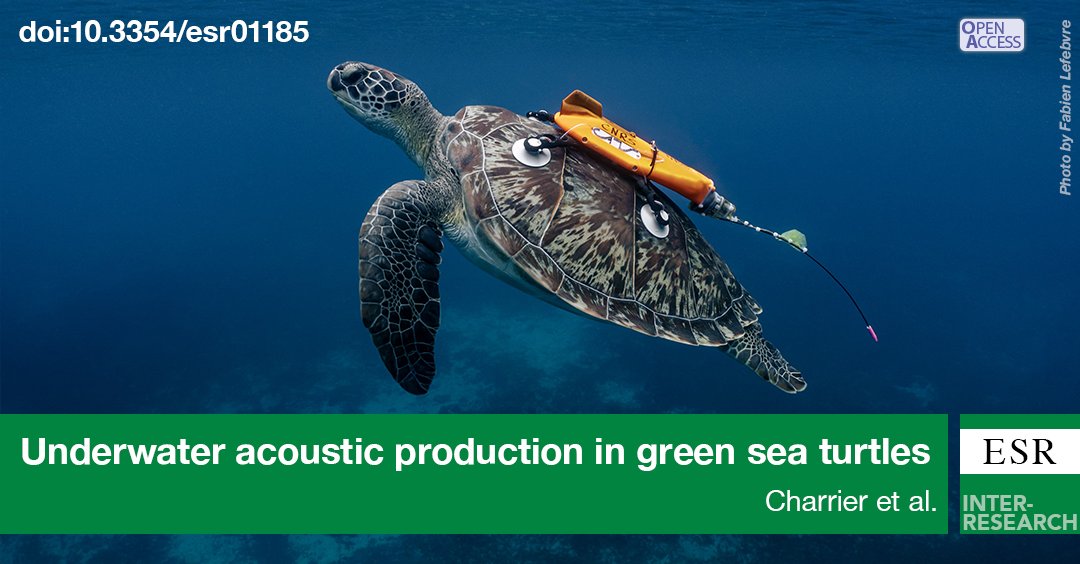 Lorène Jeantet tweet media