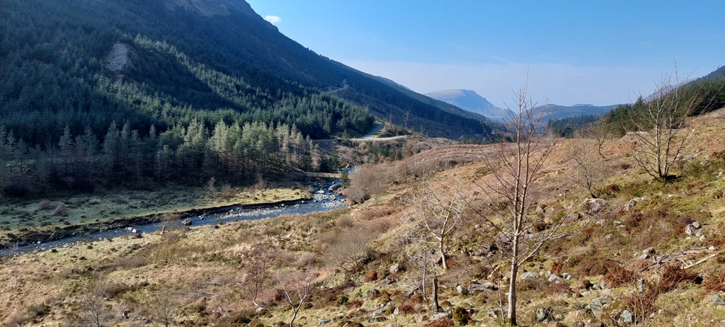 wildennerdale's tweet photo. After last years clear felling of conifers the eastern valley looks much more open. We have been planting native trees in amongst the felled conifer to protect the trees from sheep grazing but it will be a few years before they become visible from a distance. #trees#planting https://t.co/ICVqrZW6J7