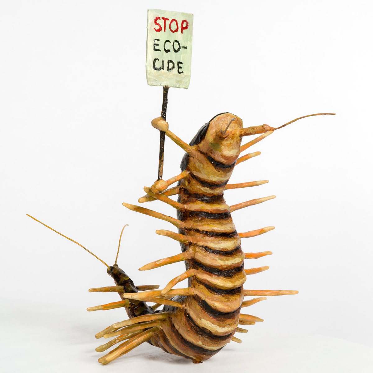 McIntoshGallery's tweet photo. Join us this Thursday, May 12 for a panel discussion with curators Dr. Helen Gregory and Dr. Nina Zitani and participating artists Catherine Chalmers, Andrea Cooper, Aganetha Dyck, Jude Griebel &amp; Amy Youngs of Insect as Idea. Find more info &amp; register at https://t.co/mGg3iqXgd5 https://t.co/XyQn76fAMn