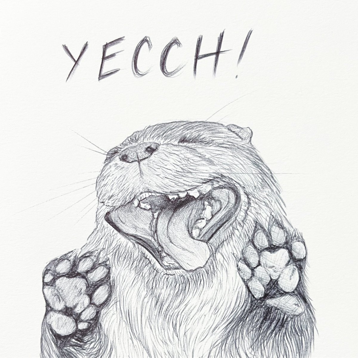 TCArt0's tweet photo. My involuntary overreaction when I come across celery hidden in my food.
What’s the food stuff you cannot stand?
.
.
.
#biroart #traindoodle #sketch #funny #cute #blurgh #yecch #otter #overreaction #celery #vile https://t.co/GwtdfX3gdx
