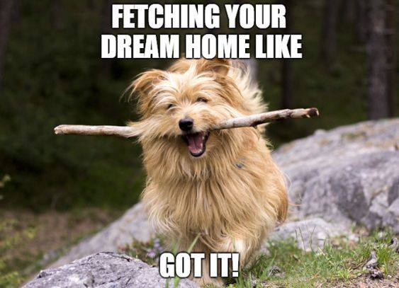 MomSellingHomes's tweet photo. https://t.co/23D4gGkoU6