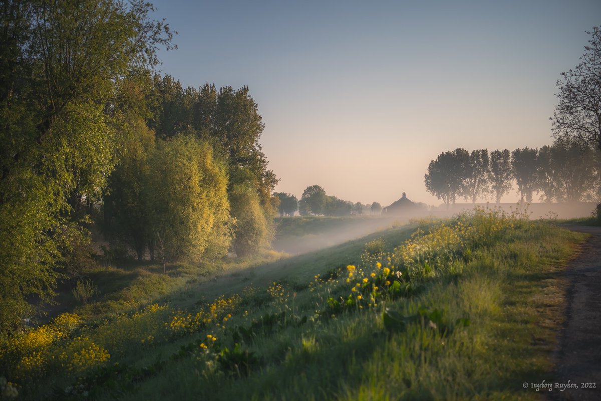 Ingeborg Ruyken tweet media