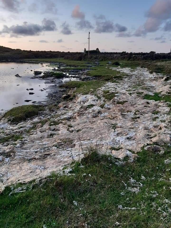 Inis Mór (@inis_mor) on Twitter photo Dead swans & sewage at the SAC lagoon near Cill Rónáin, Inis Mór. Will the <a href="/EPAIreland/">EPA Ireland</a> <a href="/GalwayCoCo/">Galway County Council</a> and @npwsBioData act to prevent this occurring again this Summer? #unauthorisedsewage #inismor #habitatdestruction #WildAtlanticWay #aranislands Dead swans & sewage at the SAC lagoon near Cill Rónáin, Inis Mór. Will the <a href="/EPAIreland/">EPA Ireland</a> <a href="/GalwayCoCo/">Galway County Council</a> and @npwsBioData act to prevent this occurring again this Summer? #unauthorisedsewage #inismor #habitatdestruction #WildAtlanticWay #aranislands