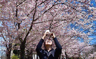 Graham Paine tweet media