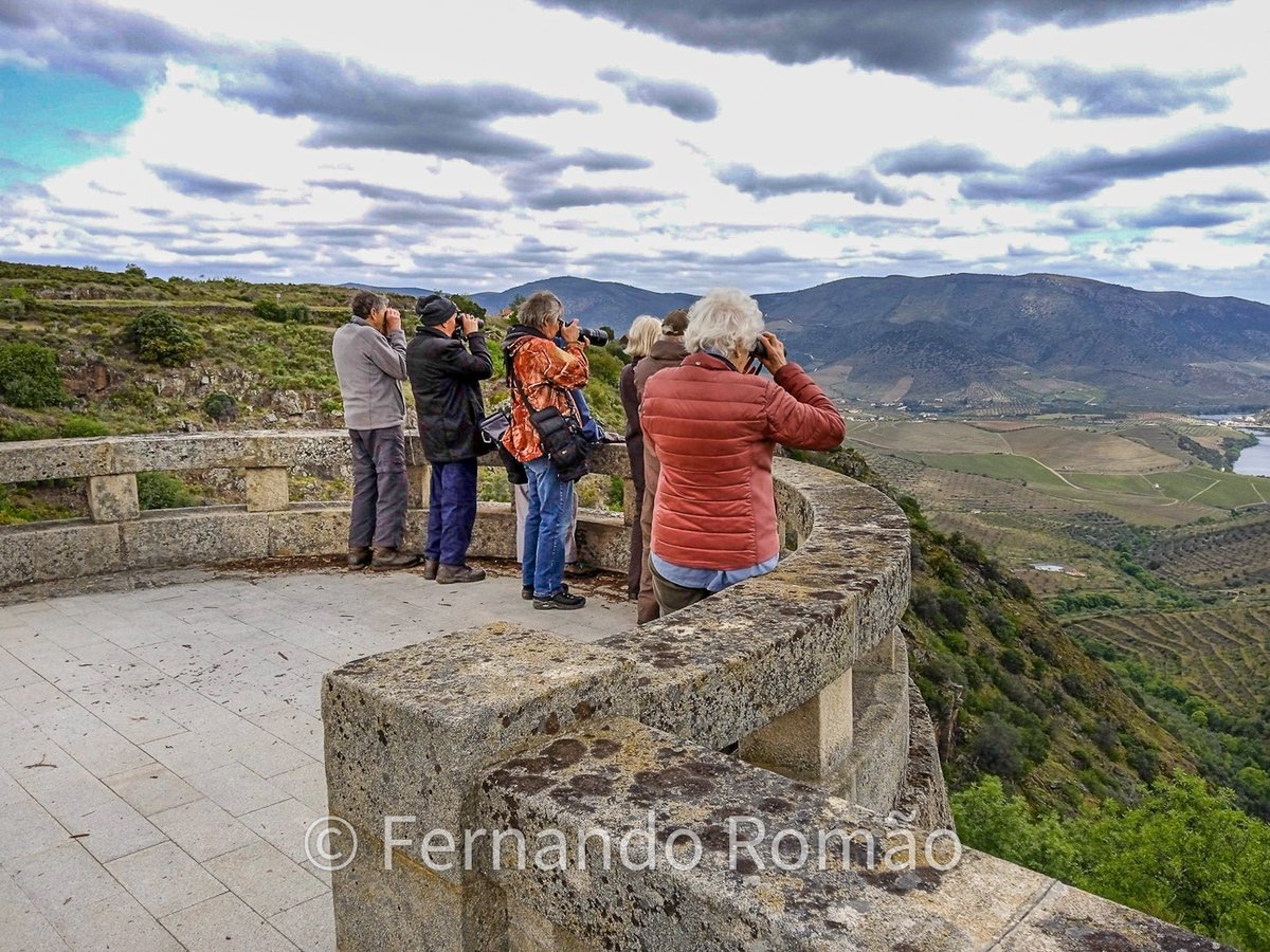 Watching the vultures at the Douro Valley, during @naturetrektours - Wild Portugal tour. 

#wildlifeportugal #naturetrekwildlifeholidays #naturetrek #wildlifewatching #wildlifeholidays #naturetours #birdwatching #douronaturalpark #dourovalley #portugal🇵🇹 #vultures