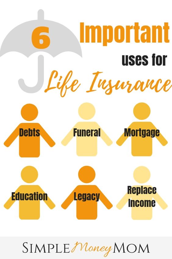 AvilesInsurance's tweet image. If you don't have insurance because you think you can't afford it, we need to have a conversation. Linda Aviles 386-801-0358