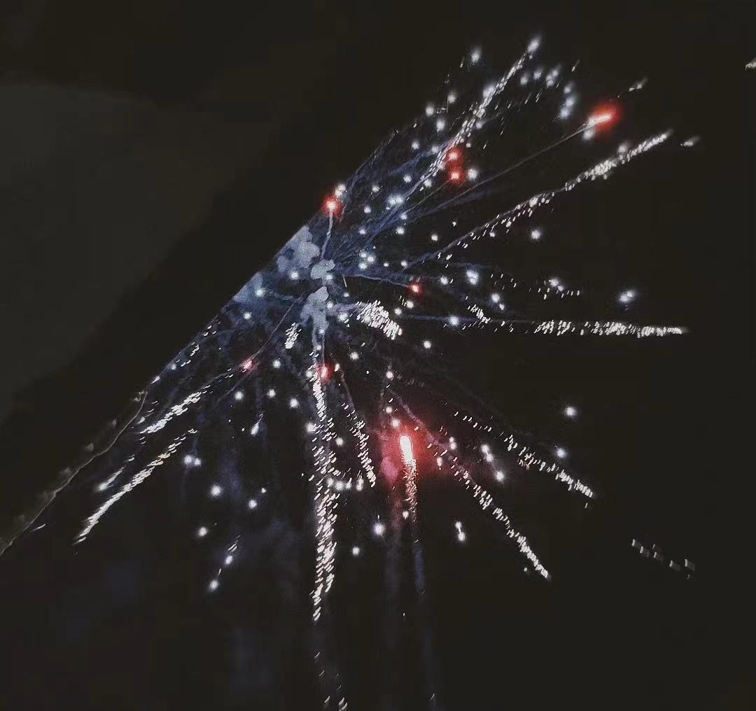 flowerlxp's tweet photo. #YourDaytimeFireworks 过年的烟花 @CaiGuoQiang @trlab_ https://t.co/lIJdaXOzYE