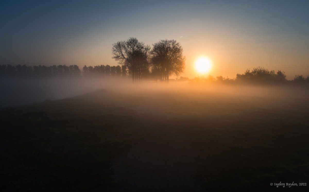 Ingeborg Ruyken tweet media