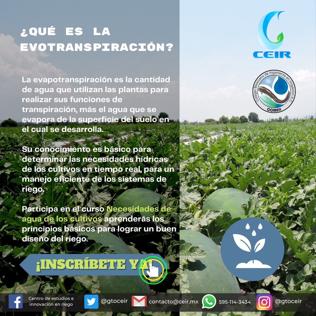 gtoceir's tweet photo. ¿Qué es la evotranspiración? 💧

Esto y más en nuestro curso
"Necesidades de agua de los cultivos"
20 y 21 de Mayo
¡Curso Presencial!
Registro: https://t.co/Jt8D2UYOqU
Mas información en: https://t.co/iVuxeQ5QVr
✉️contacto@ceir.mx
📞 +52 595 114 3434 https://t.co/WFfLEAnaan