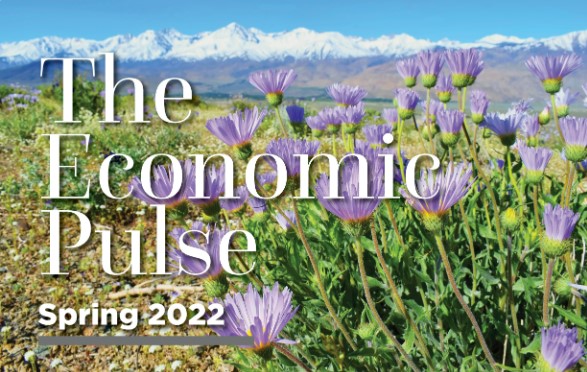 DiversifyNevada's tweet photo. ☀️📈🌱
#ICYMI: Our Spring 2022 Newsletter is here!
Check out all the exciting things our office has been up to by clicking here: https://t.co/WIkx2VsjMz. https://t.co/zbqq1RMi9C