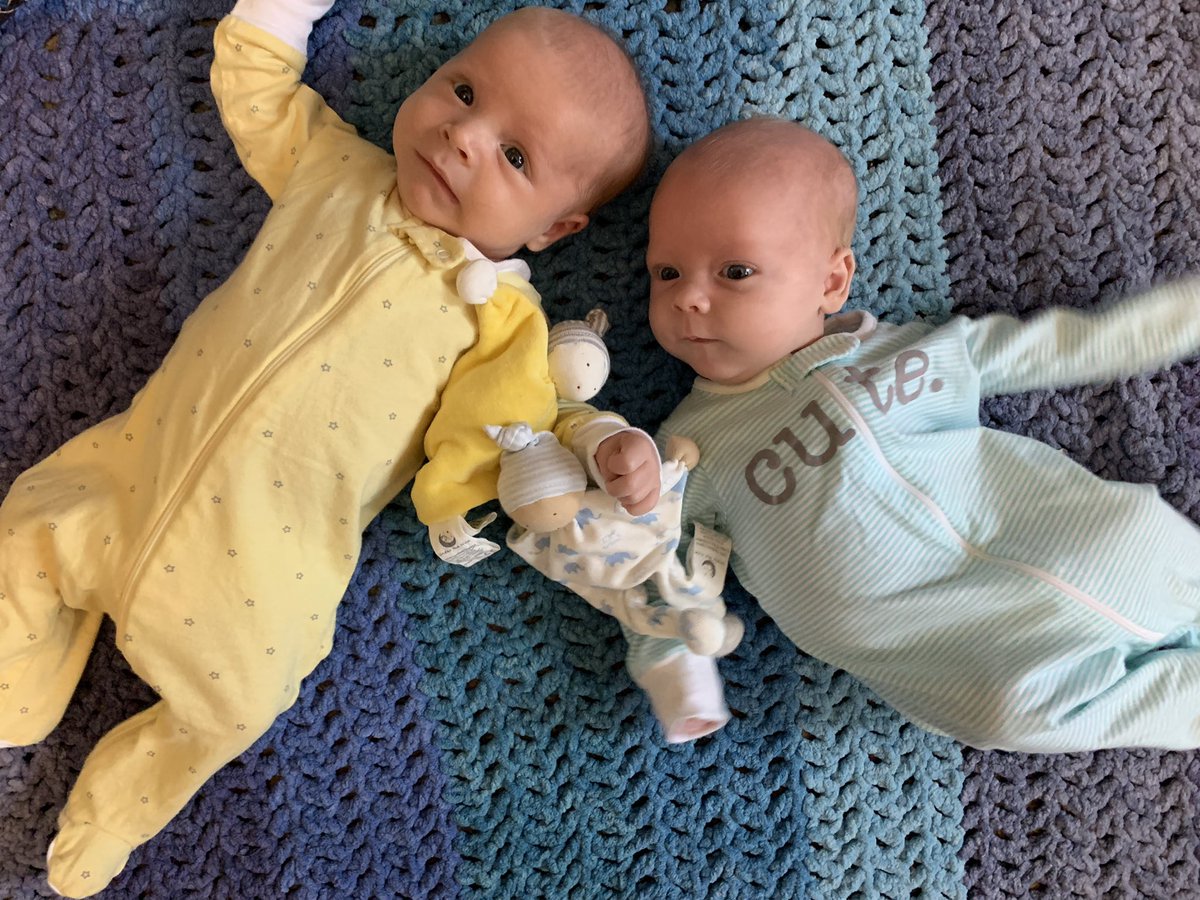 Katie 🐹✨ tweet media