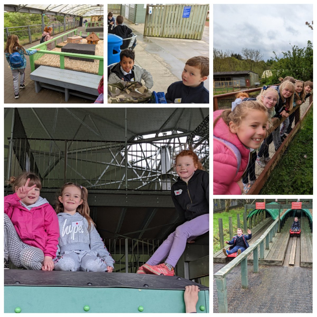 Miss Mitchell tweet media